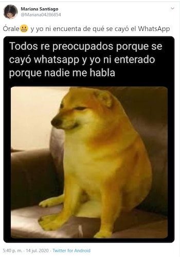 Caida en WhatsApp