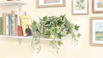 Los 4 detalles que cambian la apariencia de las plantas artificiales