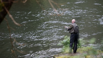 El ‘campanu’ se resiste en Asturias y ya es el más tardío de la historia: la larga espera confirma el declive del salmón en España
