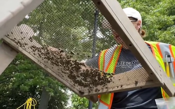 Primer plano de un arqueólogo con gafas de sol y chaleco de seguridad que tamiza tierra en una criba con marco de madera