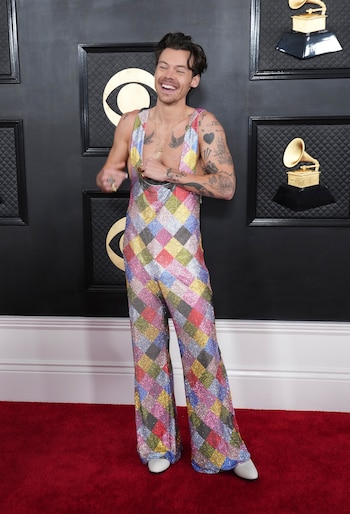 Un mono multicolor cubierto