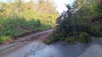 La temporada de lluvias en Guatemala suma 293 emergencias y casi 3,000 afectados en 2026