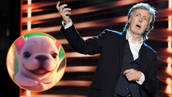 El peculiar nexo entre Pebble, el bulldog viral, y Paul McCartney que nadie vio venir