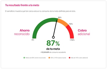 La meta individual de consumo se calculará con el promedio diario de los últimos 12 meses y se mantendrá durante toda la vigencia del programa - crédito Enel