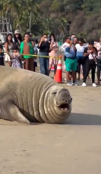 Turistas y habitantes de la
