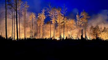 Los incendios forestales desatados a