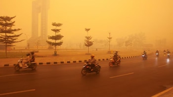 Indonesia reporta más de 300.000 casos de infección respiratoria por el humo de los incendios en Borneo