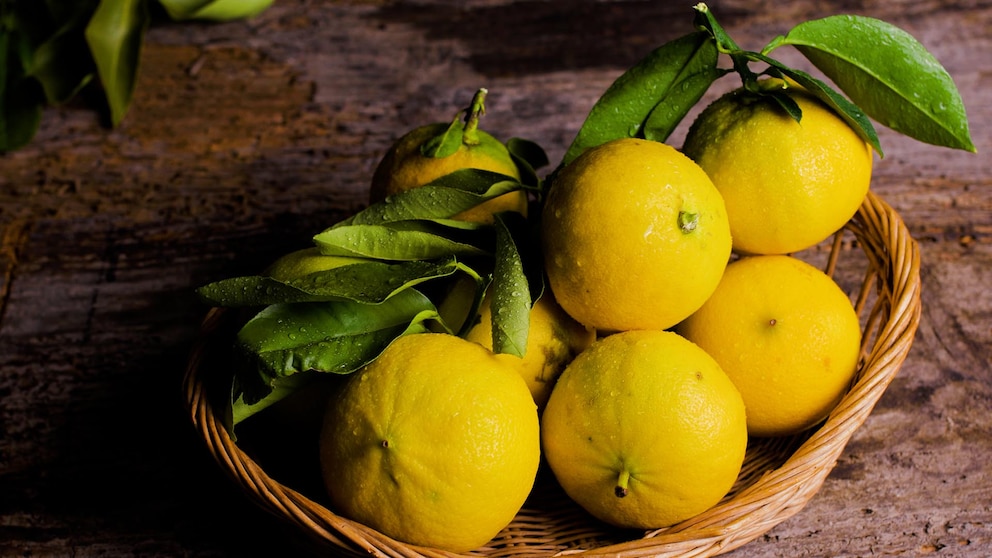 Los secretos para hacer florecer tu limonero: lo que recomiendan los expertos en casa