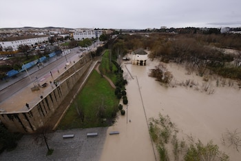 El río Guadalquivir presenta una