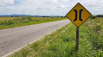 Un cartel de tránsito amarillo con el símbolo de puente angosto está al lado de una ruta pavimentada. A los costados hay pastos verdes.