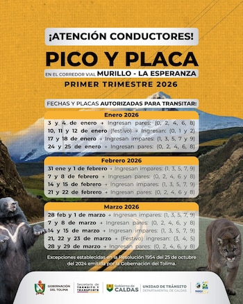 El pico y placa solo