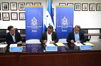 Más de 4.000 productores recibirán asistencia técnica y más de 8.000 tendrán acompañamiento para acceder al financiamiento formal y a mercados.