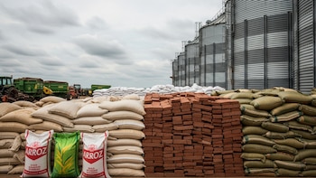 Un barco con 30.000 toneladas de arroz y azúcar atracó en un puerto inusual de Venezuela para favorecer a industriales chinos