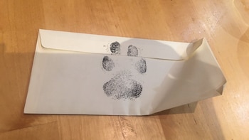 La carta escrita por la perra