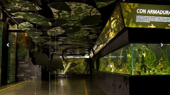 Indignación en Medellín por ataques