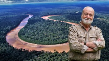 Ausencia de condiciones políticas a