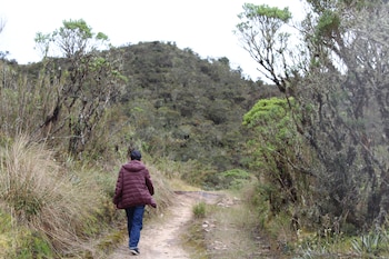 González camina por la reserva - Páramo de Guacheneque - 19-09-2020