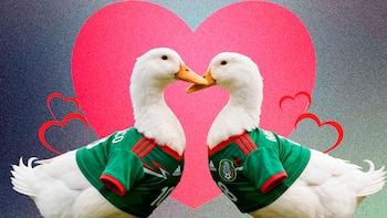 Aparece “Juanita”, la patita que podría convertirse en la ‘novia’ de Merlín en el Mundial 2026
