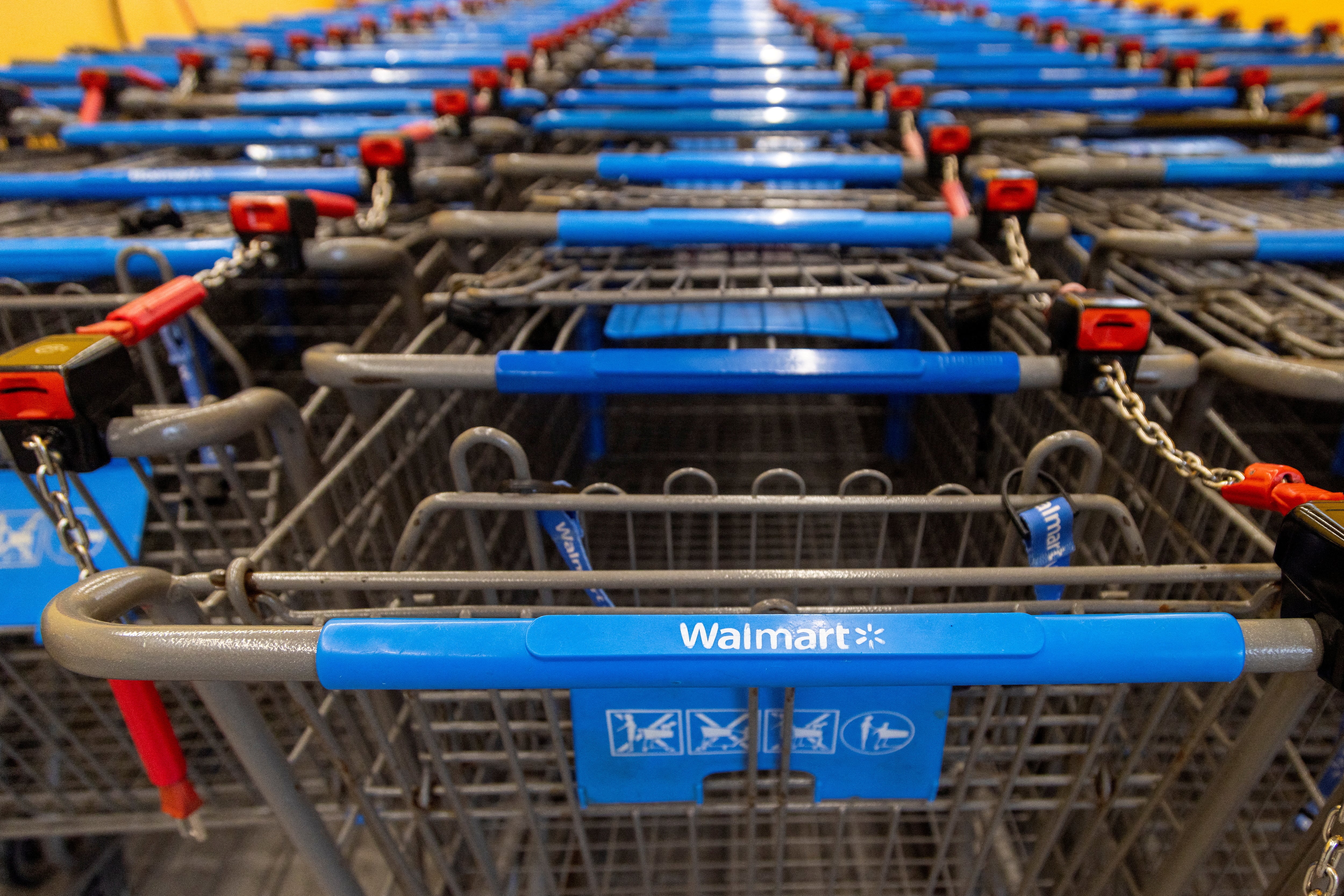 FILE PHOTO: Shopping carts are lined up inside a Walmart store in Hamilton, Ontario, Canada, January 28, 2025. REUTERS/Carlos Osorio/File Photo