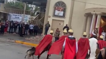 Perrito se volvió viral por