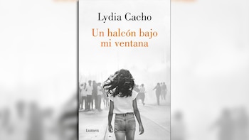 Un halcón bajo mi ventana, de Lydia Cacho (Lumen)
