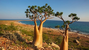 La isla del océano Índico más salvaje y desconocida del mundo que es Patrimonio de la Humanidad