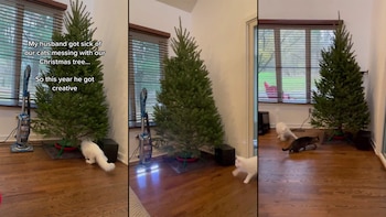 "Mi esposo estaba cansado de