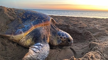 La costa mediterránea se está