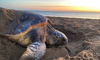 El cambio climático está creando