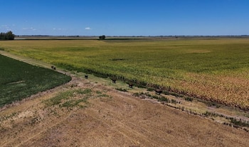 Banco Mundial: " Una modificación