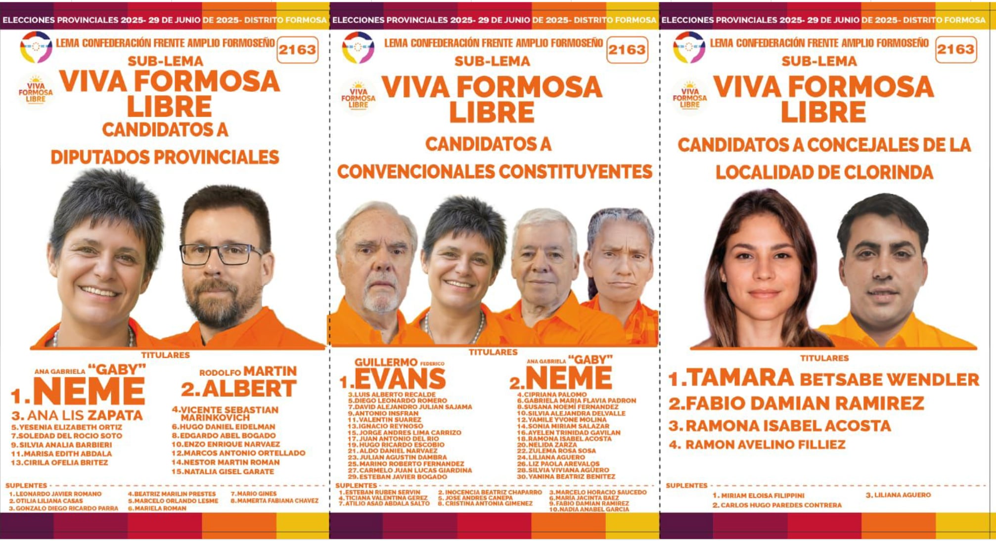 Boleta del sublema Viva Formosa Libre que postula a la diputada provincial Gabriela Neme