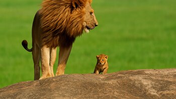 Lo que la biología revela