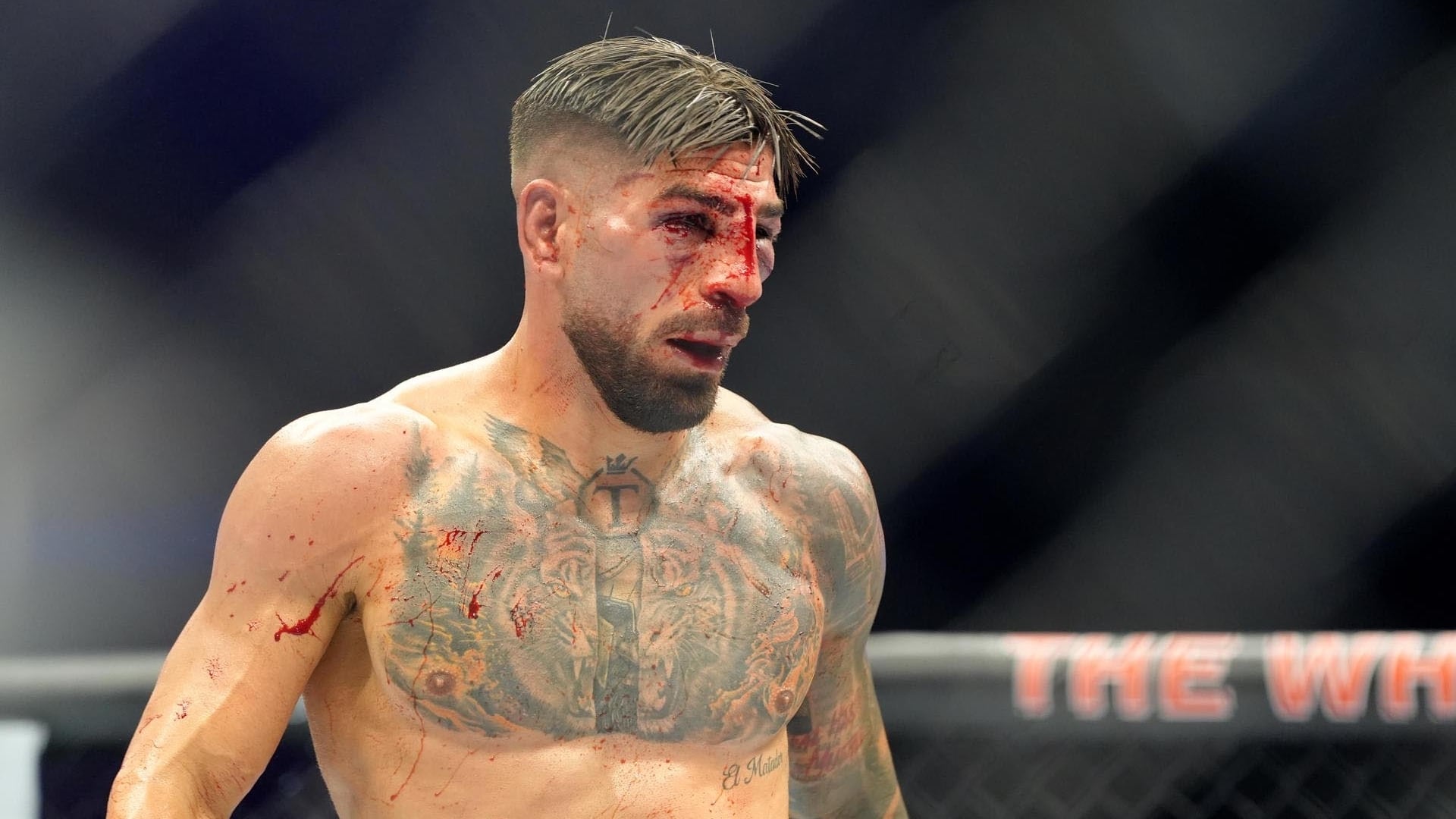 El luchador hispanogeorgiano Ilia Topuria tras su combate ante en la Casa Blanca ante Justin Gaethje (EFE)
