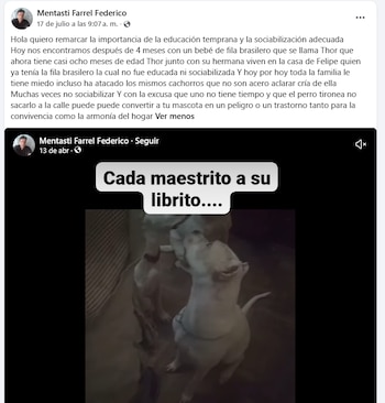Un día antes de que le allanaran el domicilio, Mentasti compratió este posteo en su cuenta de Facebook