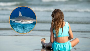 Una niña de ocho años es mordida por un tiburón en Texas (Montaje Infobae con imágenes de Freepik)