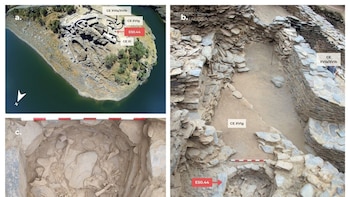 Restos de animales de hace