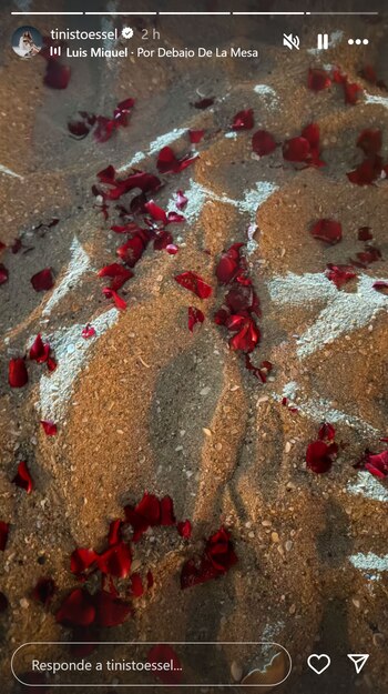 Una publicación con pétalos de