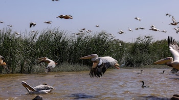 Un hospital en Florida redobla