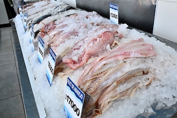 Los fanáticos de la cocina