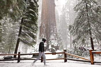 El sistema de baja presión