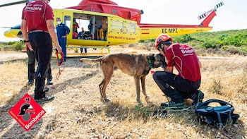Muere Titan, un perro del Consorcio de Bomberos de Alicante con más de 80 búsquedas y "una hoja impecable"