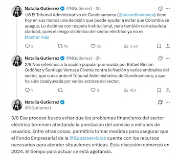 Natalia Gutiérrez, presidenta del Consejo Gremial, señaló que el riesgo sistémico del sector eléctrico ya no es una hipótesis sino una realidad cada vez más apremiante - crédito @NGutierrezJ/X