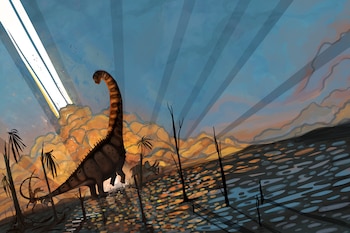 Un asteroide causó la extinción de los dinosaurios hace 66 millones de años, pero muchas plantas con flores lograron sobrevivir gracias a la duplicación completa de su genoma/Archivo Natalia Jagielska