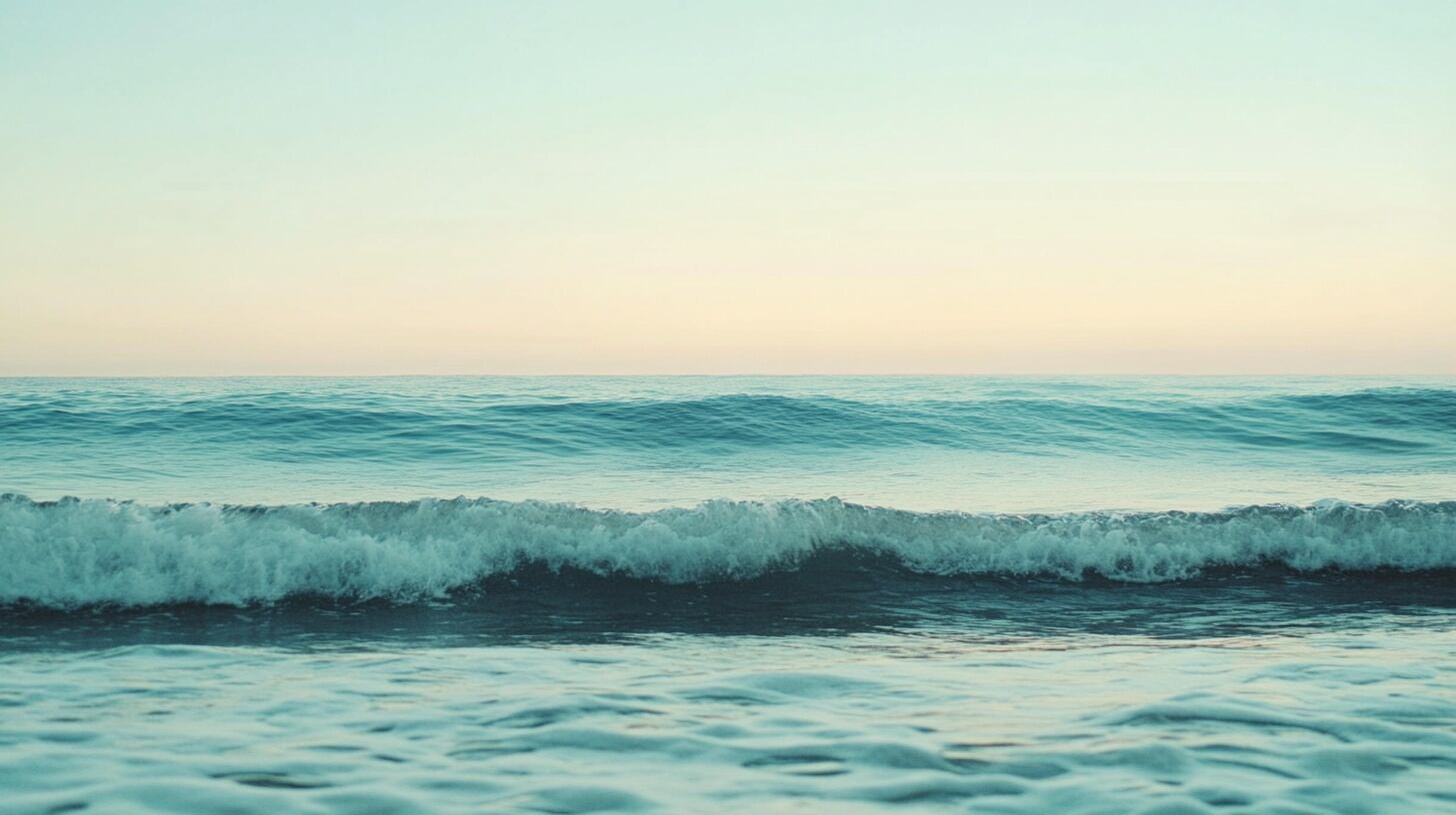 Las esponjas Vilesida contienen esteroles 24-ipc únicos, con potencial para el desarrollo de fármacos antimicrobianos, anticancerígenos y antivirales - (Imagen Ilustrativa Infobae)