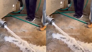 Ganaderos deben rematar productos.
Foto: TikTok