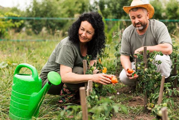 Capacitación técnica y conocimiento práctico emergen como factores decisivos para que los agricultores optimicen el potencial de cada método (Freepik)