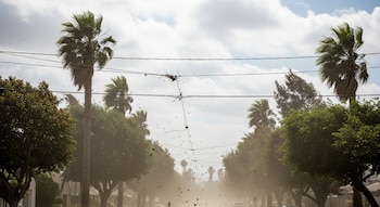 Autoridades emiten alerta de vientos