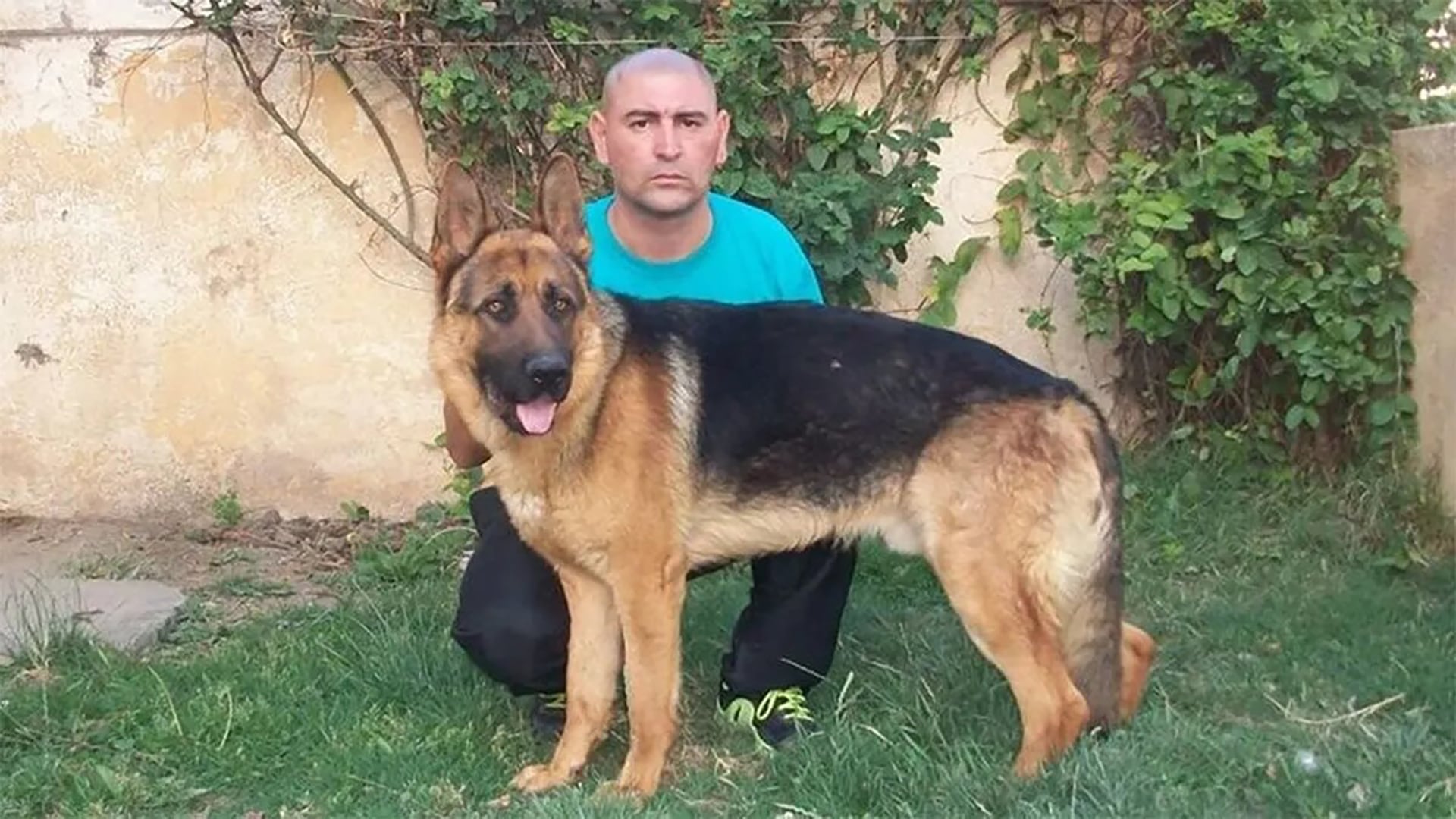 Marcos Herrero, el adiestrador de perros condenado