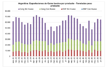Exportaciones de carne bovina argentina por producto
