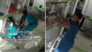Así fue como una veterinaria de Medellín evacuó a los animales durante el terremoto: no hubo heridos